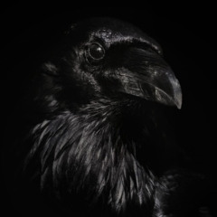 This & That (Prod. Manytails)