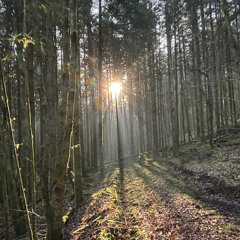 la terre est ronde