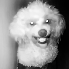 Get Over Here (jettah400 & LeeDaGreatest)