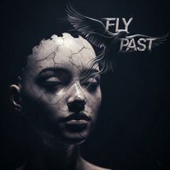 Fly Past