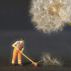 Springtime Cleaning