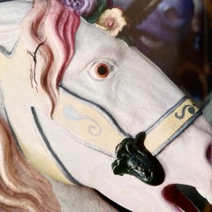 Whitenoise Superstar - Bloomflower