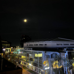 cash cow (p. goodbye + 1mains + dammittony)