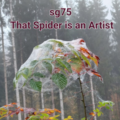That Spider is an Artist