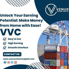 Venus Venture Capital