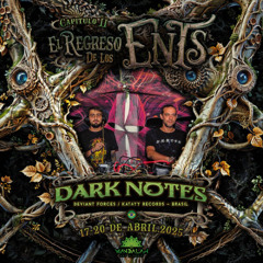 Dark Notes Live @ El regreso de los Ents festival 2025 / Mexico