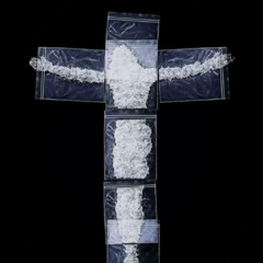 i am a statue erected in flesh