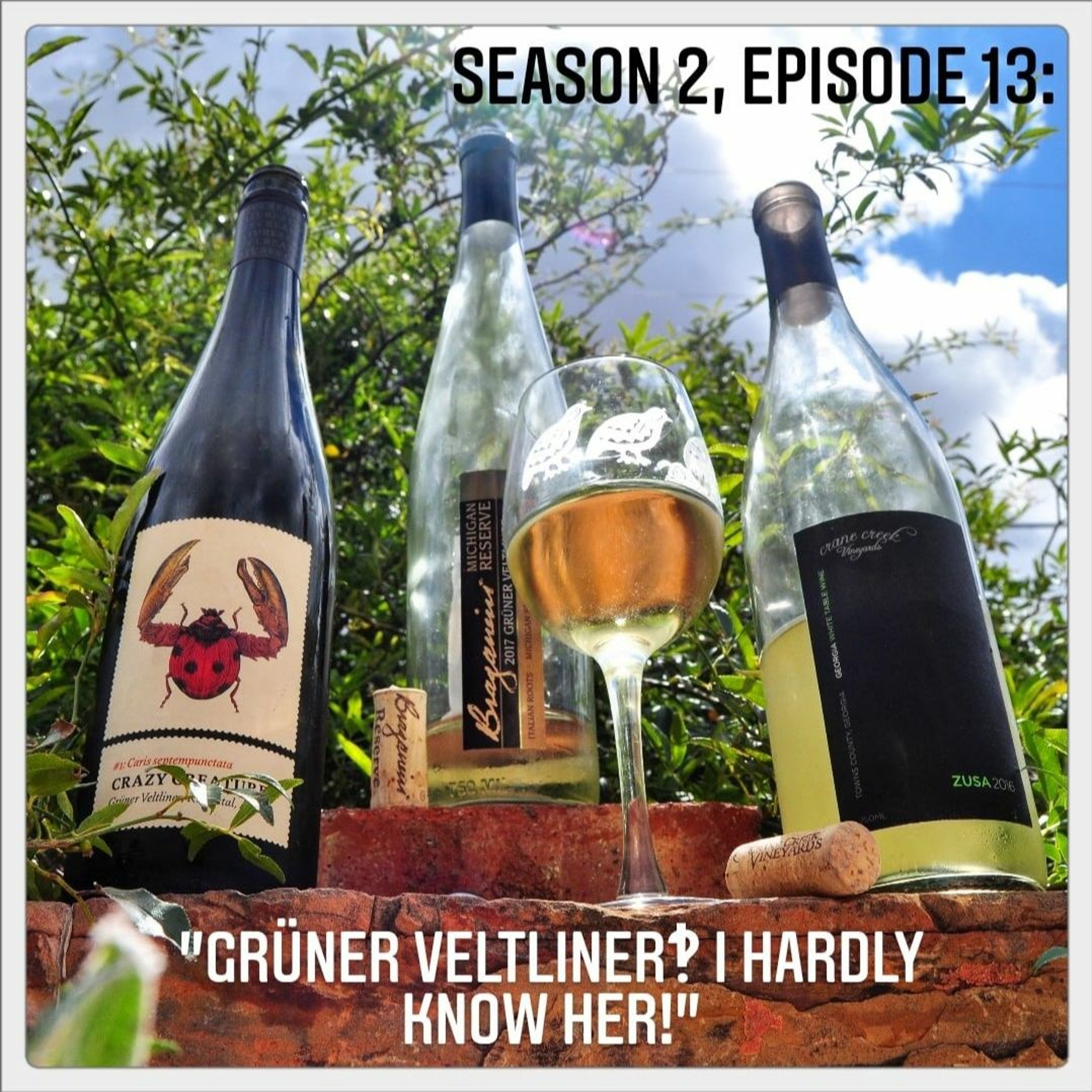 Season 2, Episode 13: "Grüner Veltliner‽ I hardly know 'er!" episode artwork