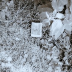 Kim Kenis & FBQ live 08.06.25