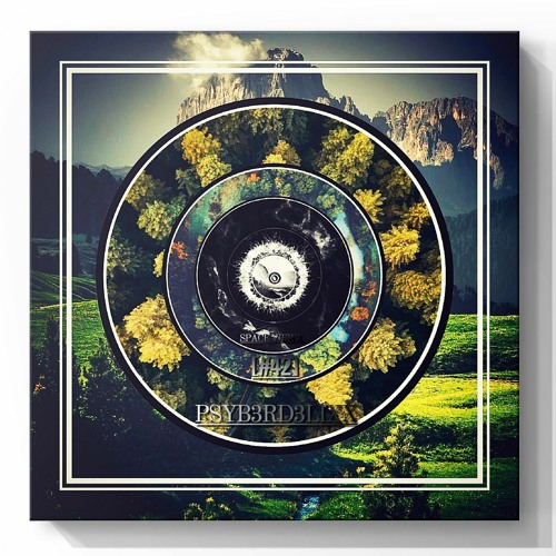 SPACE VIEWX [#42] PSYB3RD3LIXX (Czech Republic | Frydek Mistek,Dub Techno)