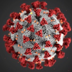 Podcast Special: Hoe overleef ik het coronavirus?