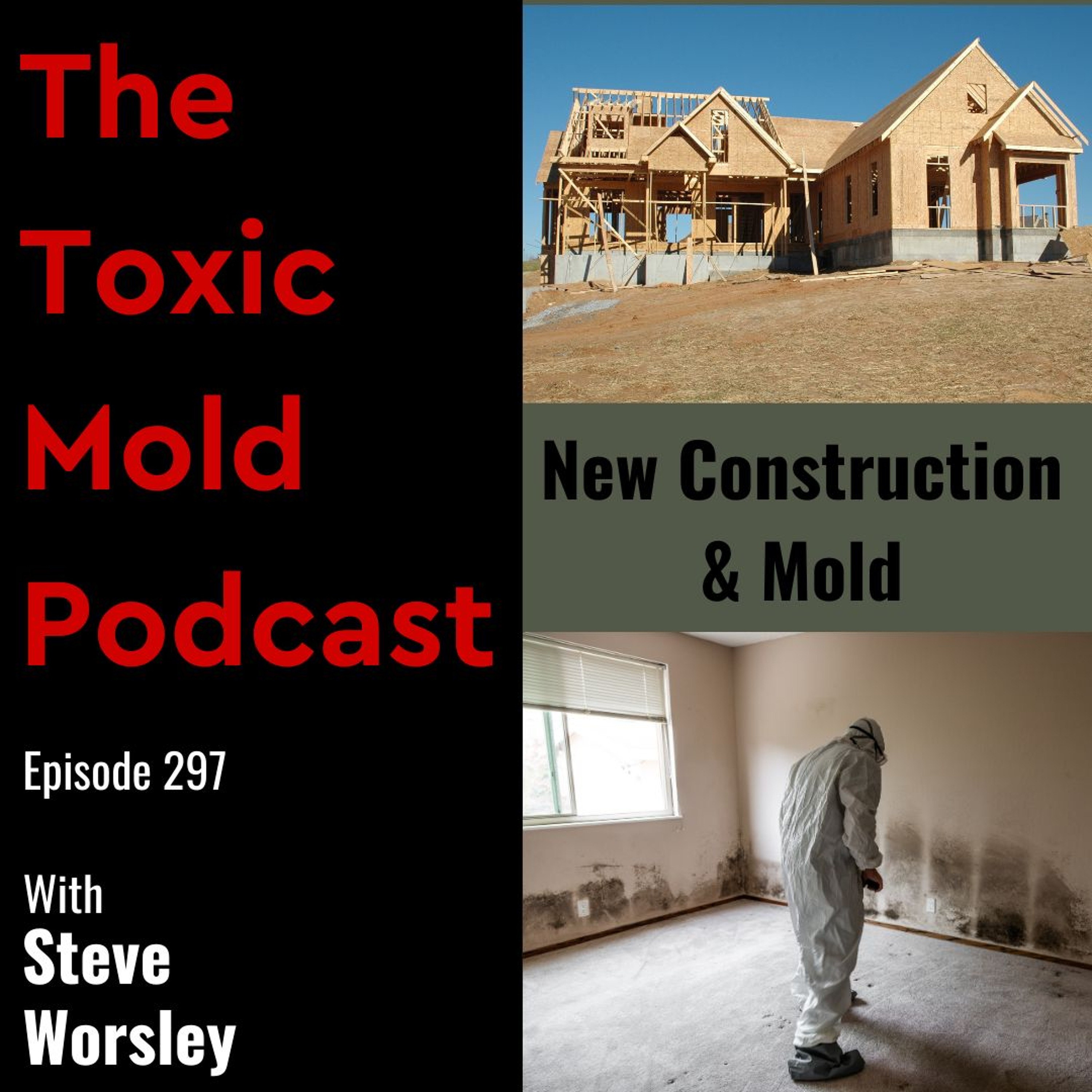 The Toxic Mold Podcast
