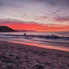 Quick Chill Freestyle