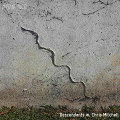 Descendents w. Chris Mitchell [12.01.2021]