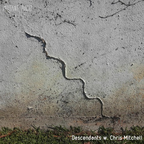 Descendents w. Chris Mitchell [12.01.2021]