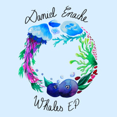 PREMIERE: Daniel Enache - Whales [Berry Jam]