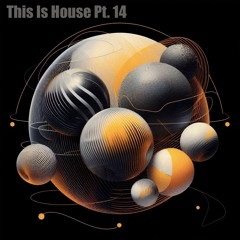 This Is House Pt. 14 | Afrohouse Set