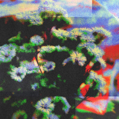 Jinjé & A. Montane - Neon Garden EP [MESH0114]