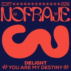 Delight - You Are My Destiny (Nofraje Edit)