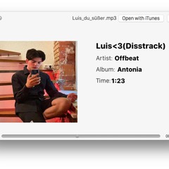 Luis <3 (Disstrack)
