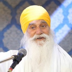 Bhai Surjit Singh Ji - Amritvela Naam Abhiyaas