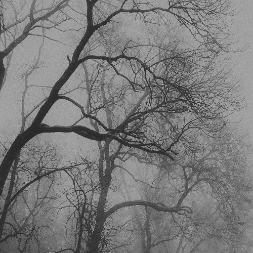 YARNcast 121 - Paul Kopp