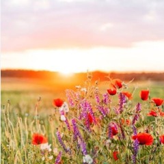 मैं प्रेम का विरोध करता हूँ