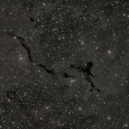 Slimggp - New $ [mygod + Prodbytn]