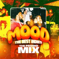 MOOD. THE BEST INDIES - PROMO MIX (LABOR DAY WEEKEEND)