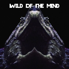 Wild Of The Mind