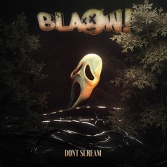 BLAOW! - DONT SCR3AM