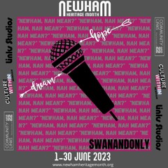 Newham Dictionary of Culture: The Podcast | Ep. 4 Michael interviews Swanandonly