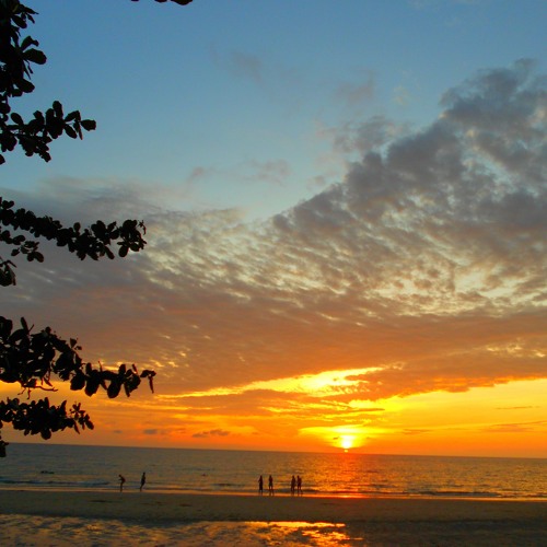 The Sunday Essential Selection Vol2