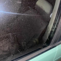 1of1 (PRODBY. ViCEYN)