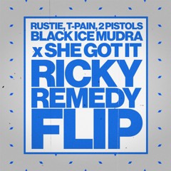 BLACK ICE MUDRA X SHE GOT IT (RICKY REMEDY FLIP) - RUSTIE, T - PAIN, 2PISTOLS