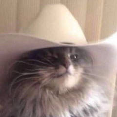 Anti Country Riddim (BERNZIKIAL Edit)