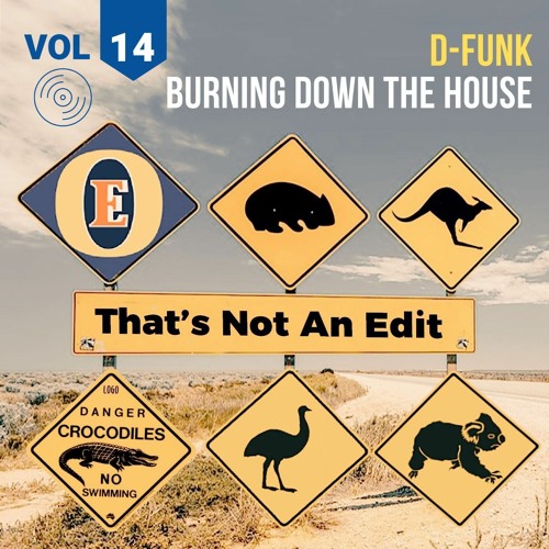 D-Funk - Burning Down The House