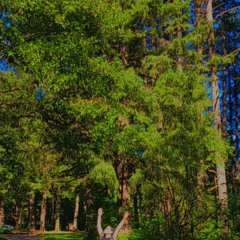 ~~ konecs - lose my mind ~~