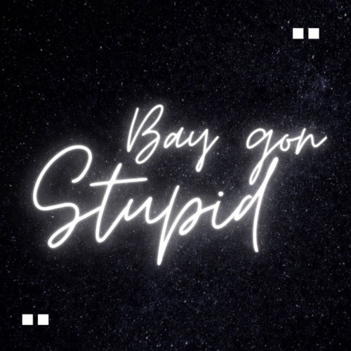 Bay Gon Stupid-YAD NeighBruhs,YAD JC & YAD DRIZZ