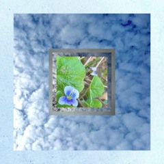 as the sun's rays melt the snow, the breeze freezes again