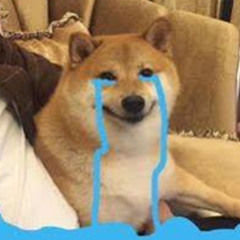 Why Not Me (BT Remix) x Japann.dee