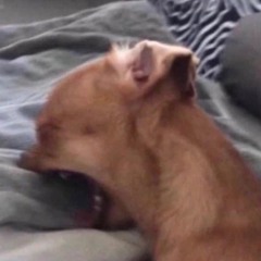 a beat that I didn't even mean  to make shouldn't take this long