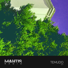 Mantis Radio 307 - Temudo