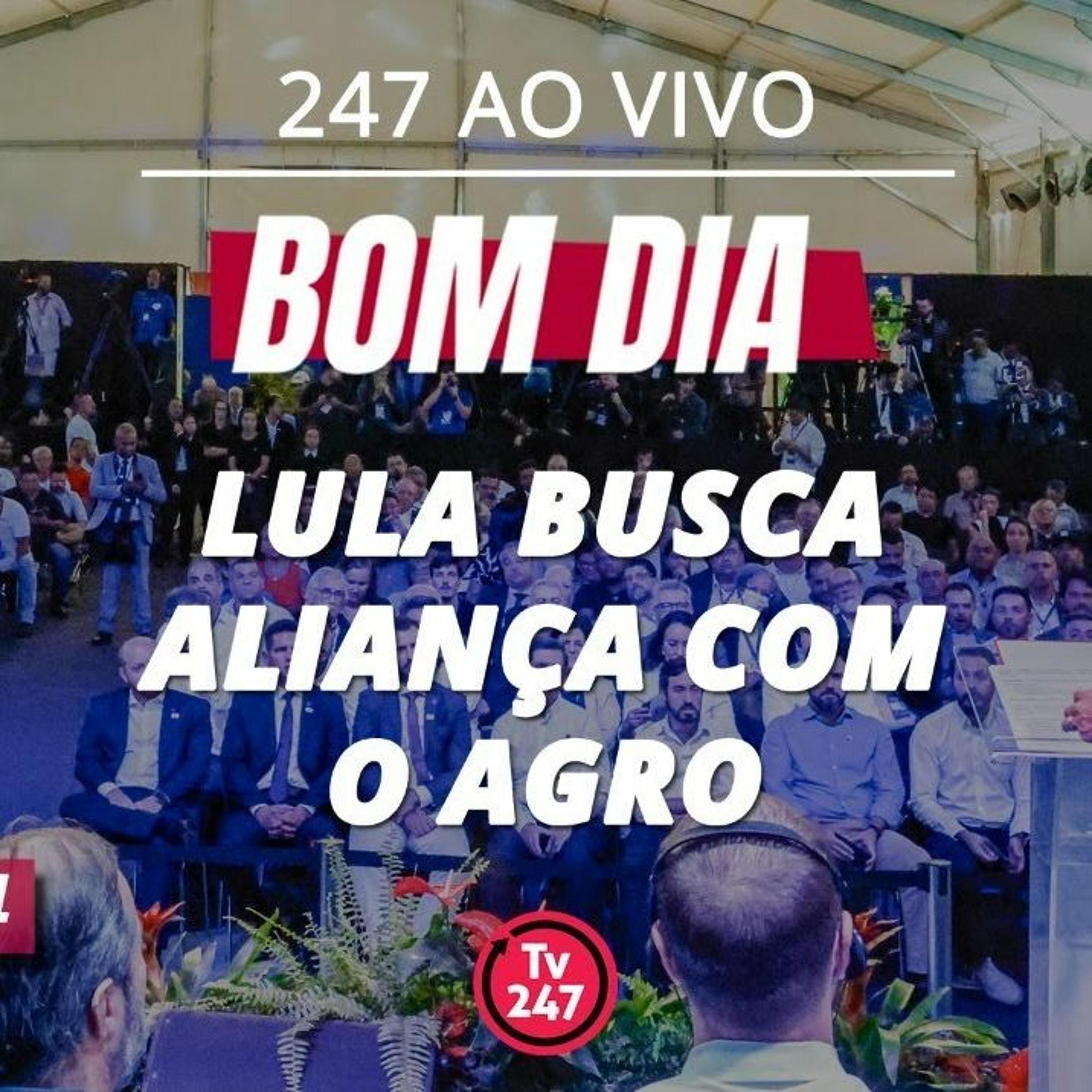 TV 247