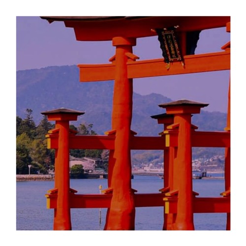 Sumimasen (We Are Going To Japan)