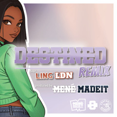 Destined Remix | House Music | Mené Madeit