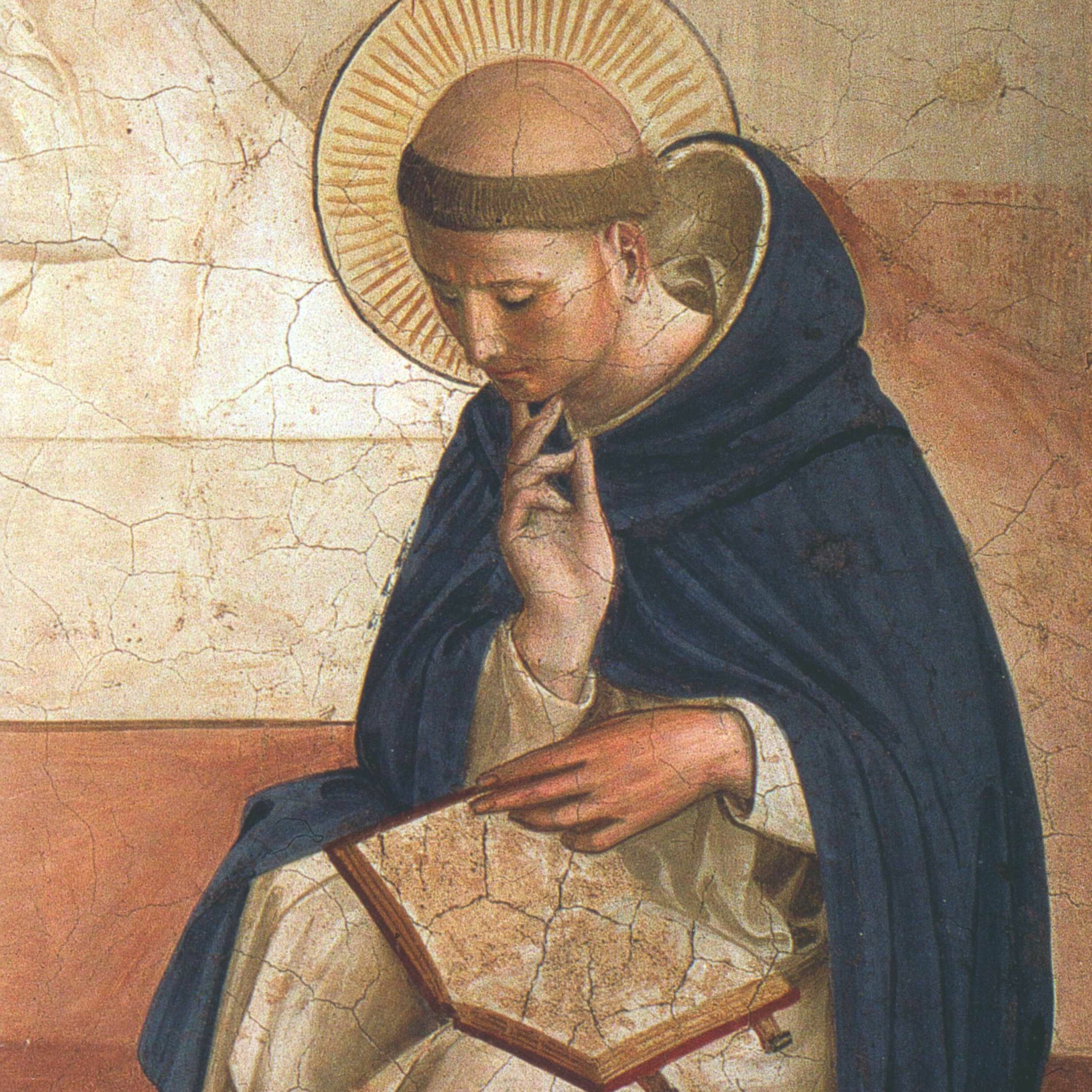 What Should We Aspire to Naturally? Aquinas on Natural Virtue | Prof. Jennifer Frey