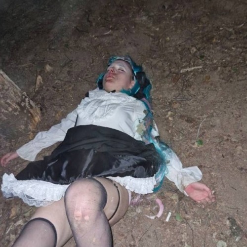 5 СТАТЕЙ(SYLER X REAPYY)