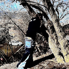 **perma fried** (prod. rin9e & plowgod)