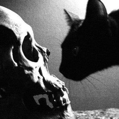 FEELING MORE DEAD